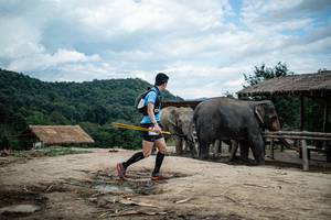 BIB: 
                            <button type="button" onclick="openModal(22424247)" class="btn btn-primary btn-sm float-right btn-popup" data-toggle="modal" data-target=".modal-high-quality">
                        <i class="fas fa-shopping-cart"></i> Add to Cart
                    </button>
                                            <button type="button" onclick="isThisMe(22424247, true)" class="btn btn-success btn-sm float-right btn-popup btn-isme hidden" data-toggle="tooltip" data-placement="bottom" title="นี่คือรูปของคุณใช่ไหม คลิกที่นี่เพื่อเอาเข้าอัลบั้ม">
                        <i class="fas fa-plus"></i> Add to album
                    </button>
                    <button type="button" onclick="isThisMe(22424247, false)" class="btn btn-warning btn-sm float-right btn-popup btn-isnotme hidden">
                        <i class="fas fa-ban"></i> Remove from album
                    </button>